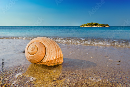 Tapeta ścienna Muszla na spokojnej plaży Morza Śródziemnego