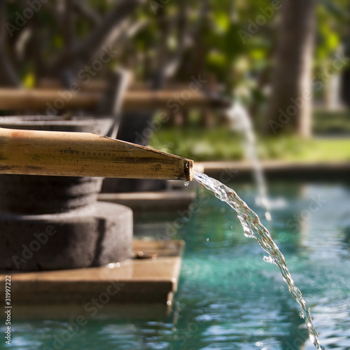 Fototapeta na wymiar Fontaine en bambou dans un jardin