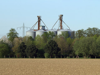 Kornspeicher hinter einer Baumreihe