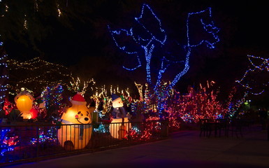 Park Decorated for Christmas at Night