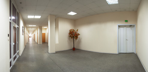Office building interior corridor maple tree exit