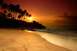 Fototapeta Zachód słońca - Sunset on Sri Lanka