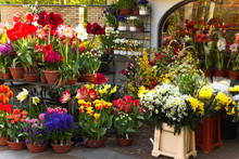 Florist Shop With Colorful Spring Flowers