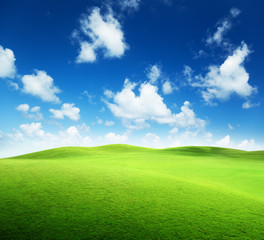 Canvas Print - field of grass and perfect sky