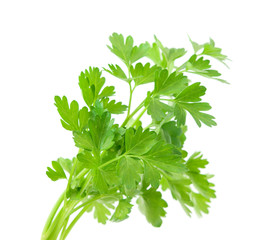 Wall Mural - parsley