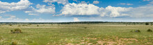 Grassy Prairie Of Texas - Panorama