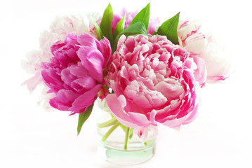 Obraz na płótnie kwiat piwonia bukiet różowy