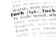 © Lambros Kazan - fuck (the dictionary project)
