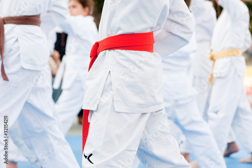 Plakat na papierze fotorealistycznym Karate