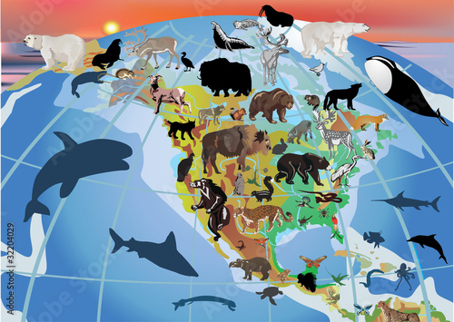 Obraz w ramie North America and different animals