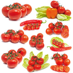 Wall Mural - set of tomatos