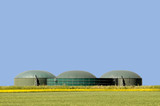 Fototapeta Tęcza - Biogasanlage