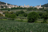 Fototapeta  - Assisi