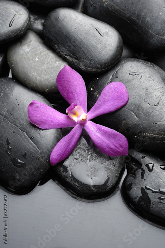 Fototapeta na wymiar Spa still life therapy stones with pink orchid on pebble