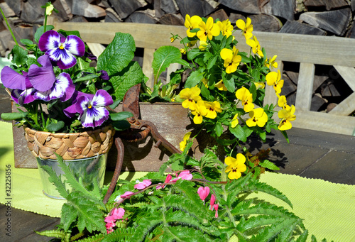 Garten Terrasse Blumen Dekoration – Stock-Foto | Adobe Stock