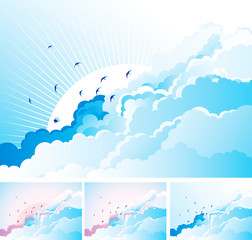 Wall Mural - birds in the cloudy sky