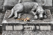Dog Grave In Havana, Cuba