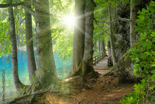 Obraz w ramie Sonnenschein im Wald neben klarem See