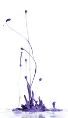 Wall Mural - Purple paint splashing