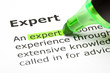 Dictionary definition of the word Expert highlighted in green