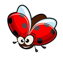 Funny Cartoon Ladybug