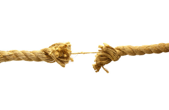 Pieces of rope with knot on a white background