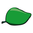 Vector sketch drawing of a green mango