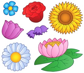 Sticker - Various flowers set