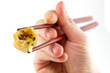 © Patryk Kosmider - Spring roll holded by chopsticks by human hand