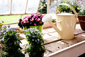 Garden - Watering can