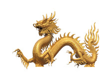 Golden Dragon 22 Free Stock Photo - Public Domain Pictures