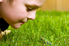 Young Boy Looking At A Frog In The Grass