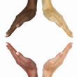 © Sergey Nivens - human hands as symbol of ethnical diversity
