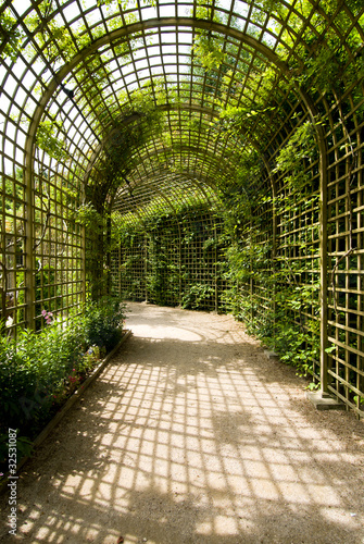 Naklejka na szybę Alley and trellises