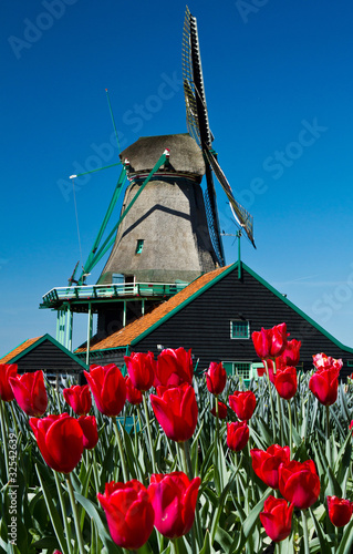 Naklejka na szybę windmill in holland
