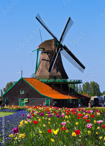 Obraz w ramie windmill in holland