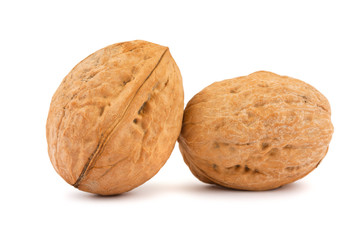 Two walnuts