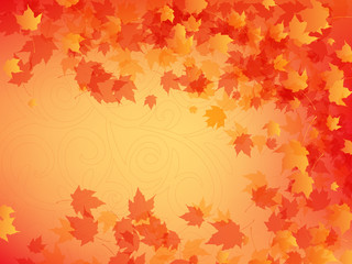 autumn background