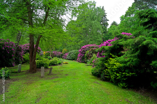 Obraz na płótnie canvas trzyczęściowy "tryptyk" Park z krzewami rododendronów