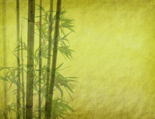 Naklejka roślina bambus azja