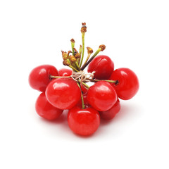 Wall Mural - cherry