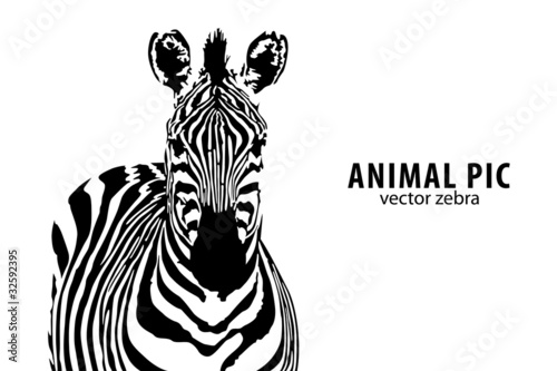 Obraz na płótnie canvas dwuczęściowy "dyptyk" Wektor zebra
