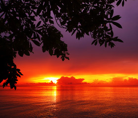 Canvas Print - Sunrise in the tropical sea with trees on front and clouds on a horizon