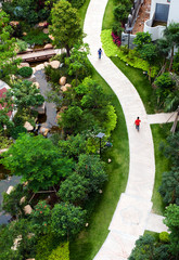 curve brick path in garden