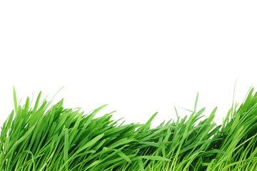 Sticker - isolated grass