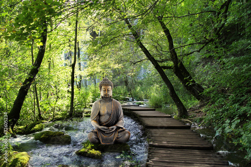 Obraz na plátně Bouddha et Serenite