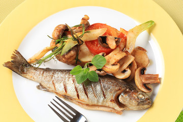 Sticker - Pan fried trout