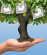 Euro tree 2