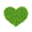 Grass and plants, small green heart.