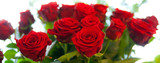 Fototapeta  - roses rouges à grandes tiges